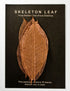 Rubber Tree Leaves - Copper