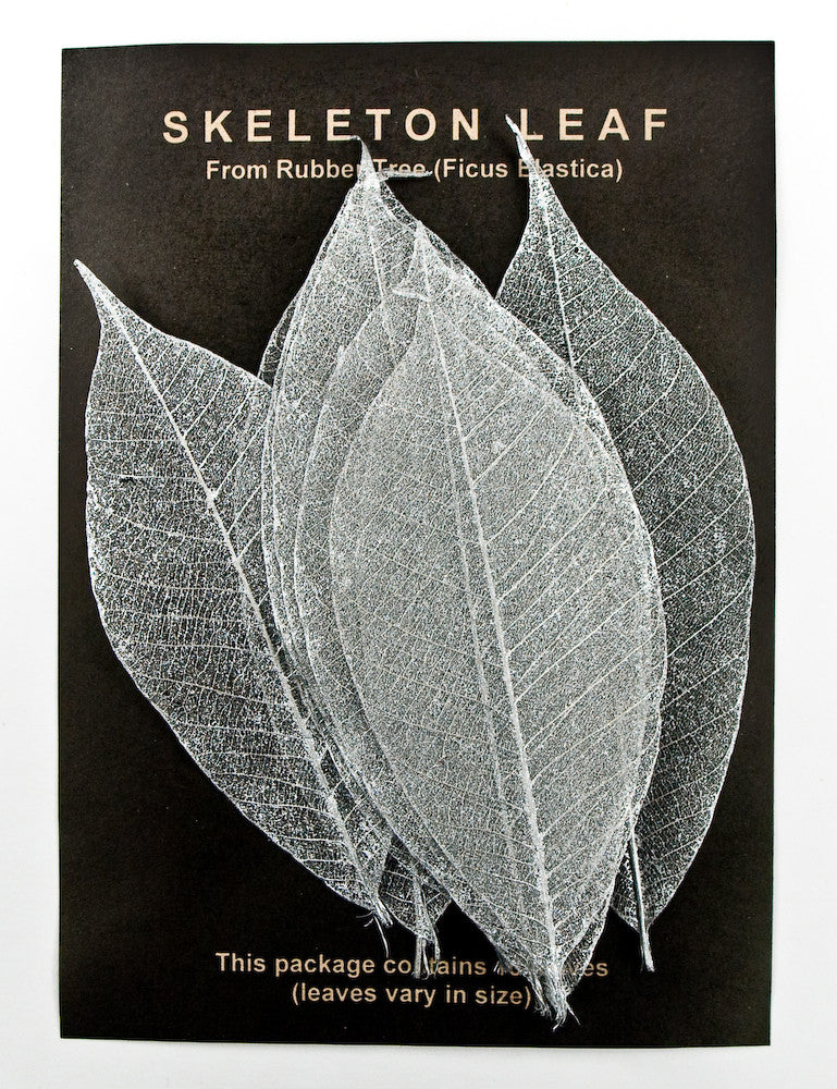 Rubber Tree Leaves - Silver