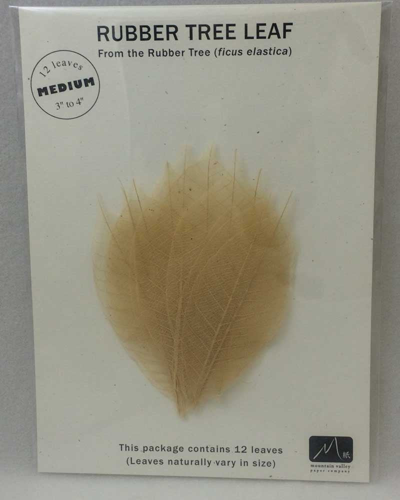 Rubber Tree Leaves - Natural