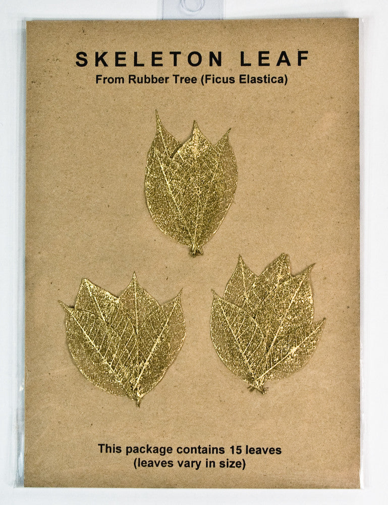Rubber Tree Leaves - Gold