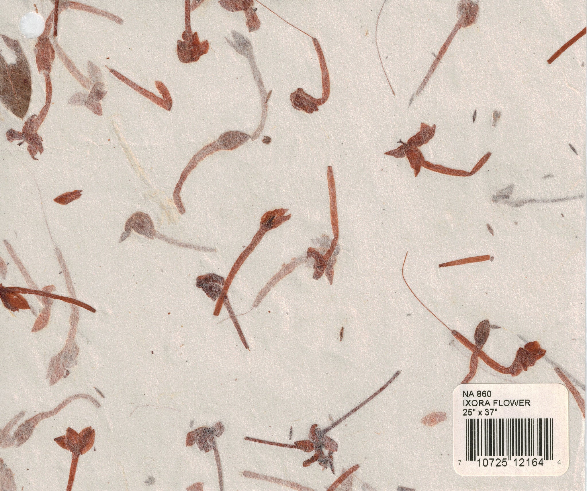 Nature Paper - Ixora Flower