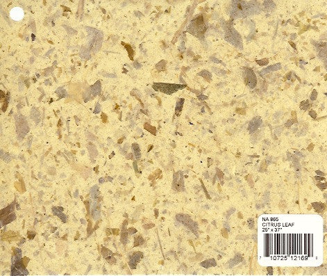 Nature Paper - Citrus Leaf